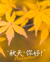 QQ截图20210924084134.png