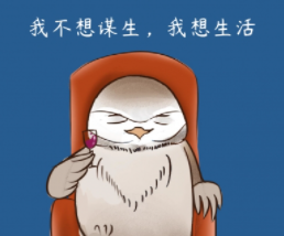 建网站要用旧域名才好