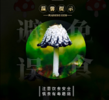 忽然发现还真是“越美丽的蘑菇越是有毒”