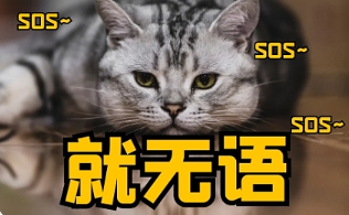 苹果手机怎么拉黑别人短信（苹果手机如何拉黑对方短信和电话）