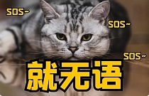贪小便宜吃大亏的例子
