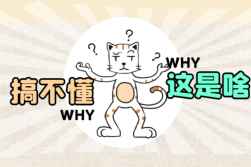 腾讯QQ新出了多个联合会员,你认为是在圈吗