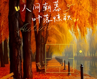 相机买来不过月就卖了,现在还有必要买相机吗